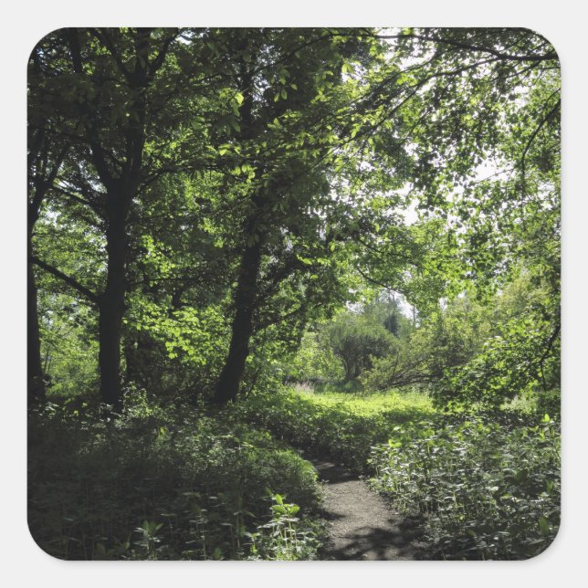 Spring in the Woods 03 Square Sticker (Front)