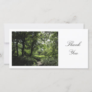 Spring in the Woods 03 - Thank You