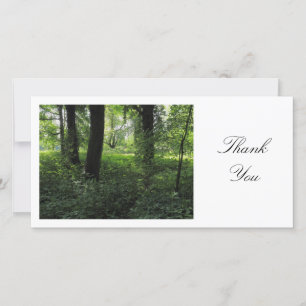 Spring in the Woods 04 - Thank You
