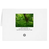 Spring in the Woods Cards (Back Horizontal)