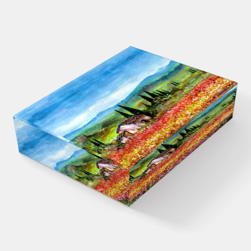 SPRING IN TUSCANY LANDSCAPE Colorful Flower Fields Paperweight