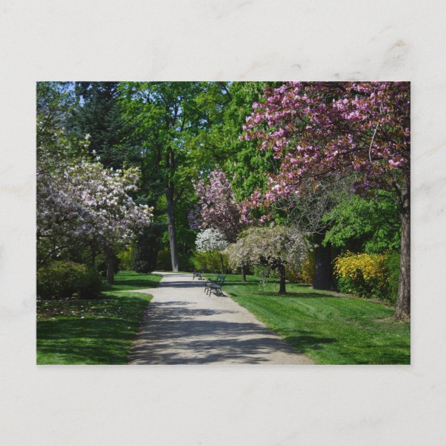 Spring In Vienna Austria Postcard (Front)