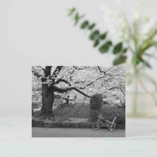 Spring in West Tokyo Postcard