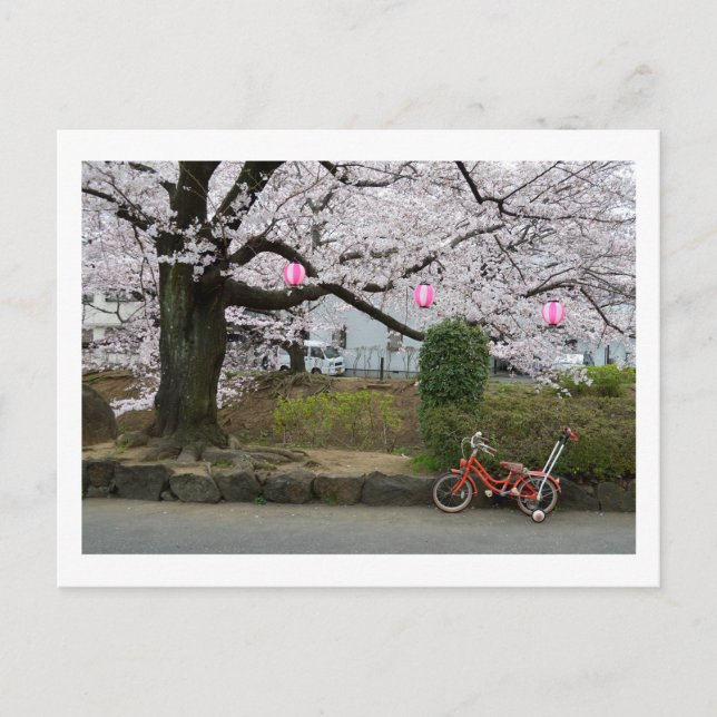Spring in West Tokyo Postcard (Front)