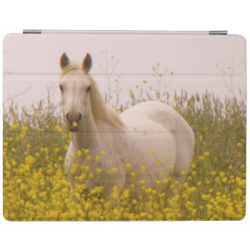 Spring Ipad Smart Cover by AuraEditions at Zazzle