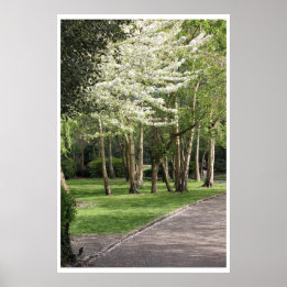 Spring Ireland Poster