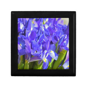 Spring iris gift box