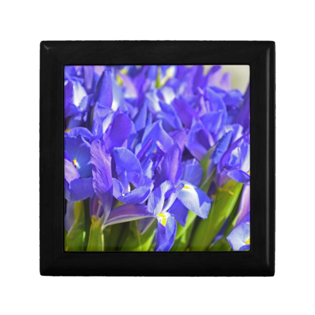 Spring iris gift box (Front)