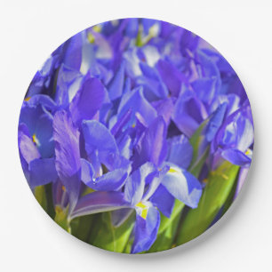 Spring iris paper plates