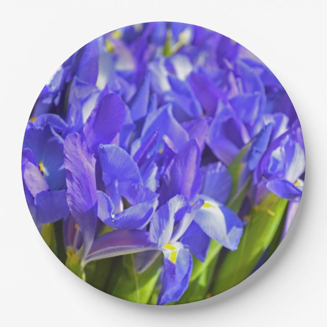 Spring iris paper plates (Front)