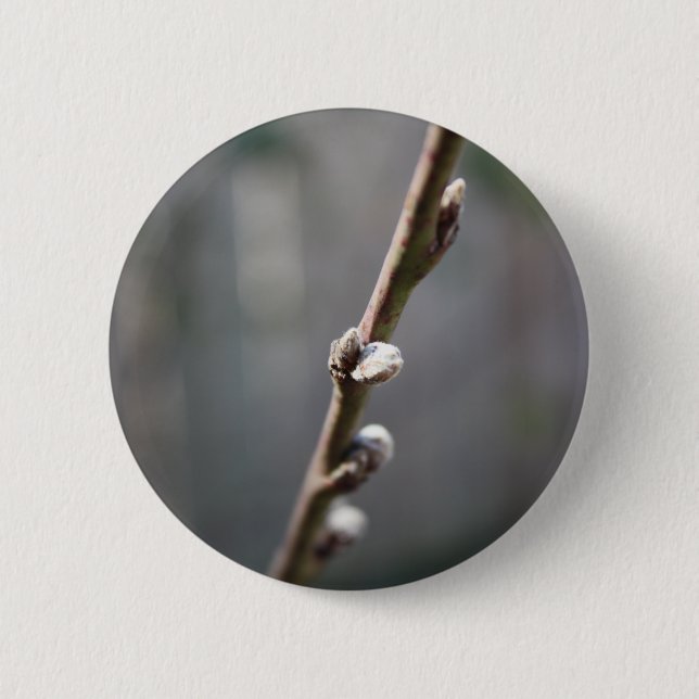Spring is Coming Button (Front)