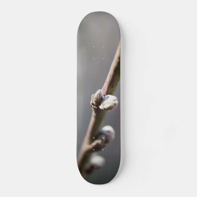Spring is Coming Skateboard Deck (Front)