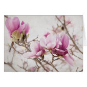 Spring is In the Air (Front Horizontal)