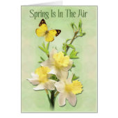 Spring Is In The Air (Front)