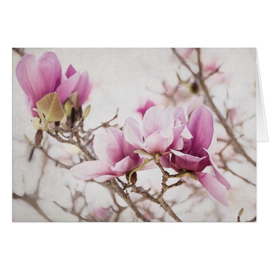 Spring is In the Air Cards (Front Horizontal)