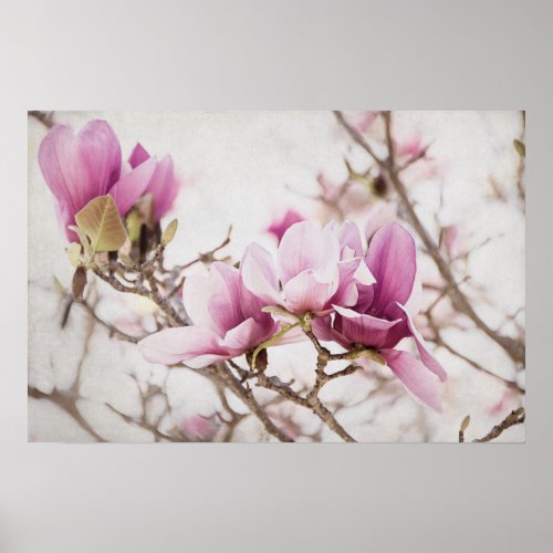 Spring is In the Air Poster