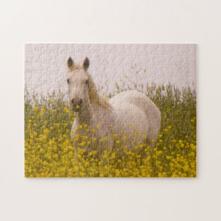 Spring Jigsaw Puzzle
