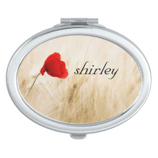 spring joy vanity mirror