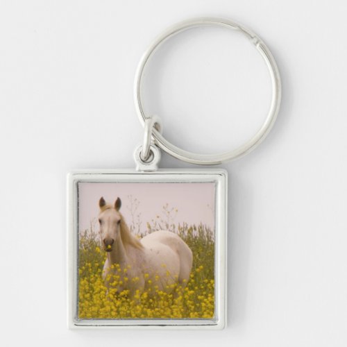 Spring Keychain