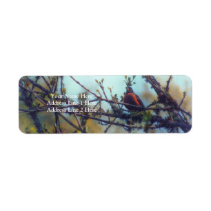 Spring Label