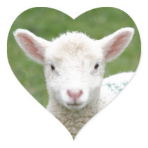 Spring Lambs Heart Sticker