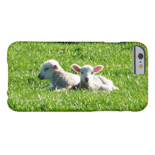 Spring Lambs in the Sunshine Cornwall England Barely There iPhone 6 Case