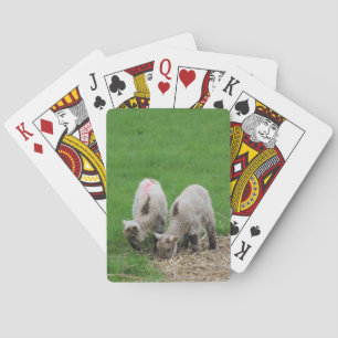 Spring Lambs Poker Cards