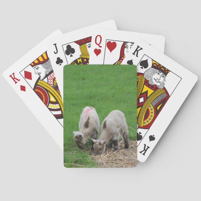 Spring Lambs Poker Cards (Back)