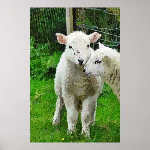 SPRING LAMBS POSTER