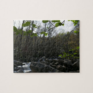 Spring Leaves at the Little Pigeon River Jigsaw Puzzle