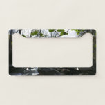 Spring Leaves at the Little Pigeon River License Plate Frame