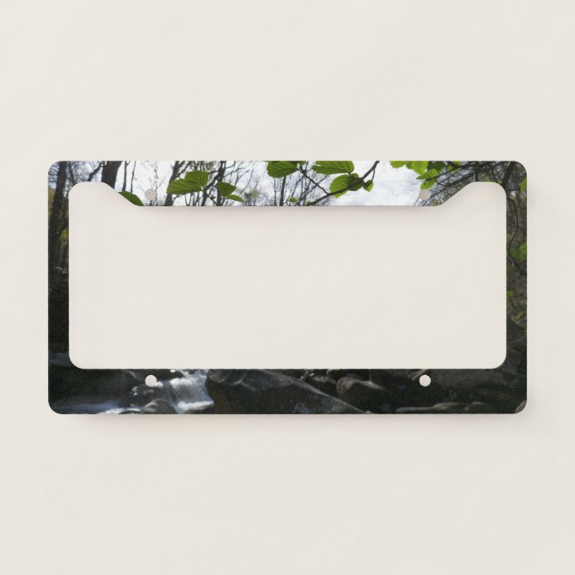 Spring Leaves at the Little Pigeon River License Plate Frame (Front)