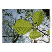 Spring leaves card (Front Horizontal)