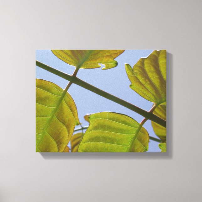 Spring Leaves Wrapped Canvas Print (Front)