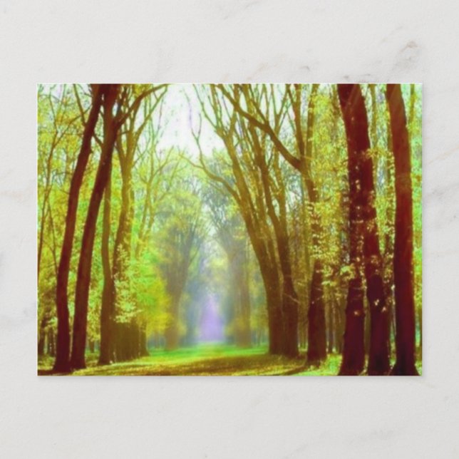 Spring Light Postcard (Front)