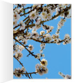 Spring Love Blossoms, (Inside (Right))