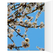 Spring Love Blossoms, (Inside (Left))