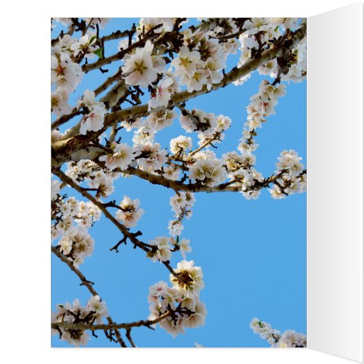 Spring Love Blossoms, (Inside (Left))