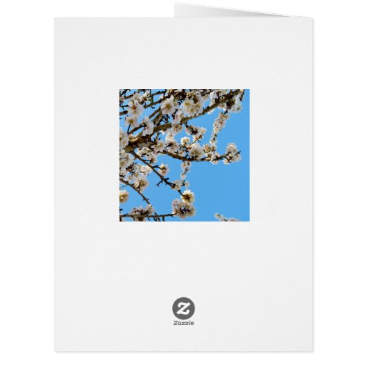 Spring Love Blossoms, (Back)