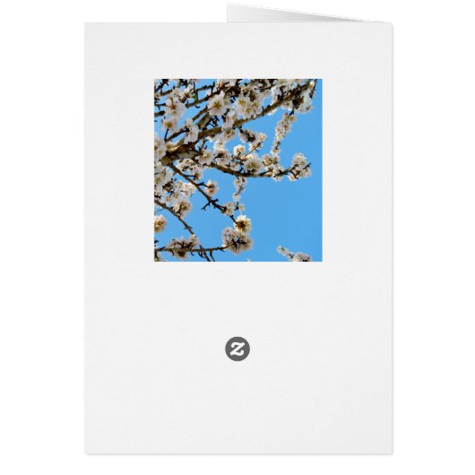 Spring Love Blossoms, (Back)