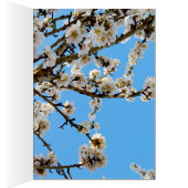 Spring Love Blossoms, (Inside (Right))