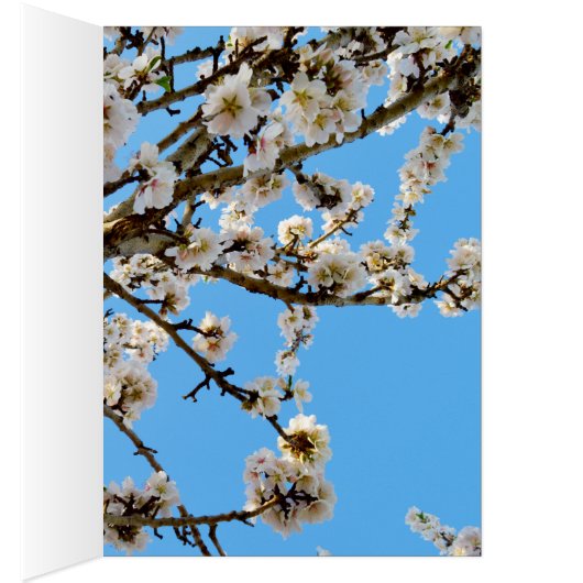 Spring Love Blossoms, (Inside (Right))