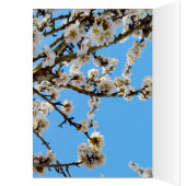 Spring Love Blossoms, (Inside (Left))