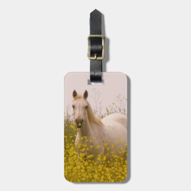Spring Luggage Tag (Front Vertical)