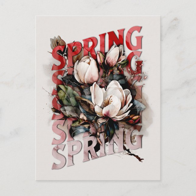 Spring Magnolias Postcard (Front)
