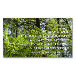 Spring Maple Leaves Business Card Magnet