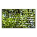 Spring Maple Leaves Nature Business Card Magnet