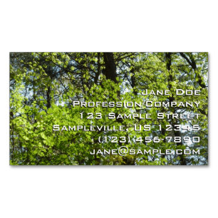Spring Maple Leaves Nature Business Card Magnet