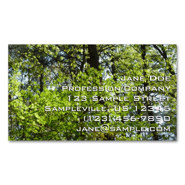 Spring Maple Leaves Nature Business Card Magnet (Front)