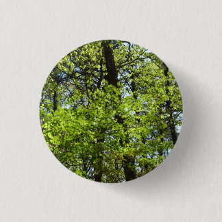 Spring Maple Leaves Nature Button